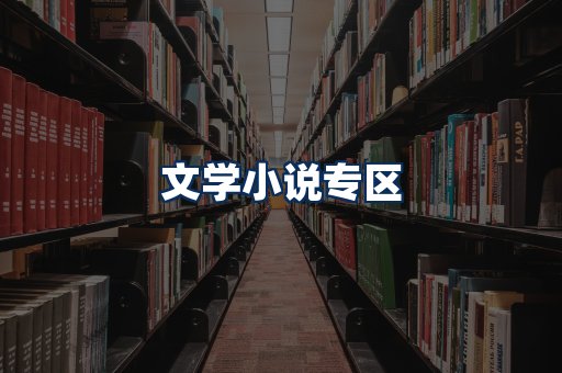 文学小说PDF展示